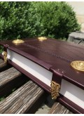 Євангеліє з позолоченими накладками 25х35см